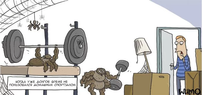 Rocking chair - Wulffmorgenthaler, Comics, Translation, Gym, Gym, Spider