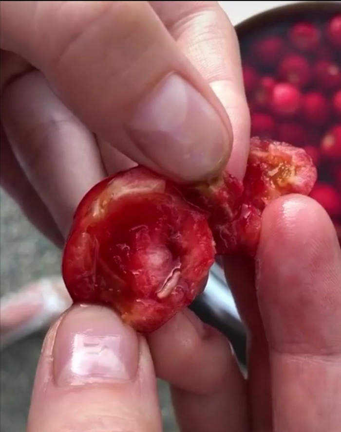 Не мы таки жизнь така...