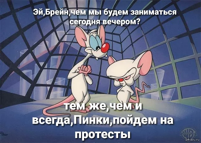 Protests 2020 - My, Memes, Pinky and Brain, Every day, Protest, Mouse