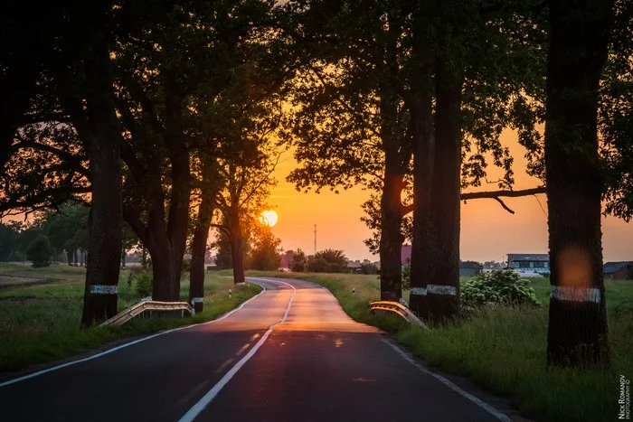 Country sunset - My, Nikon D750, Sunset, Road, Summer, The photo