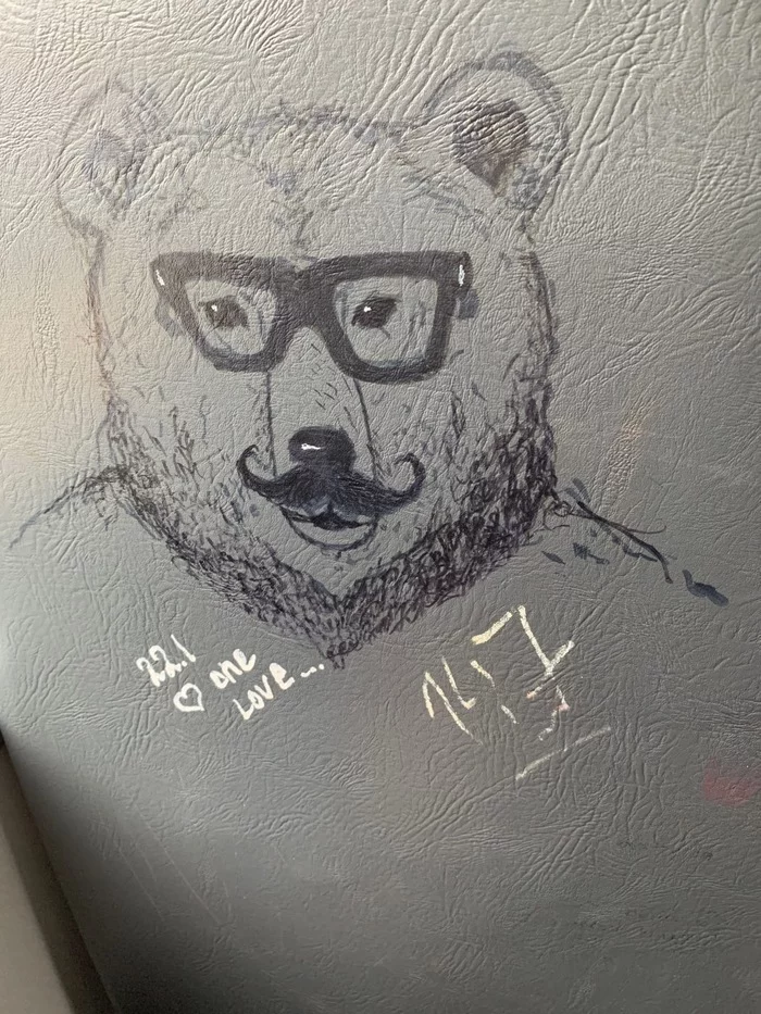 Initially it was clearly not a bear that was drawn - My, The Bears, Fantasy