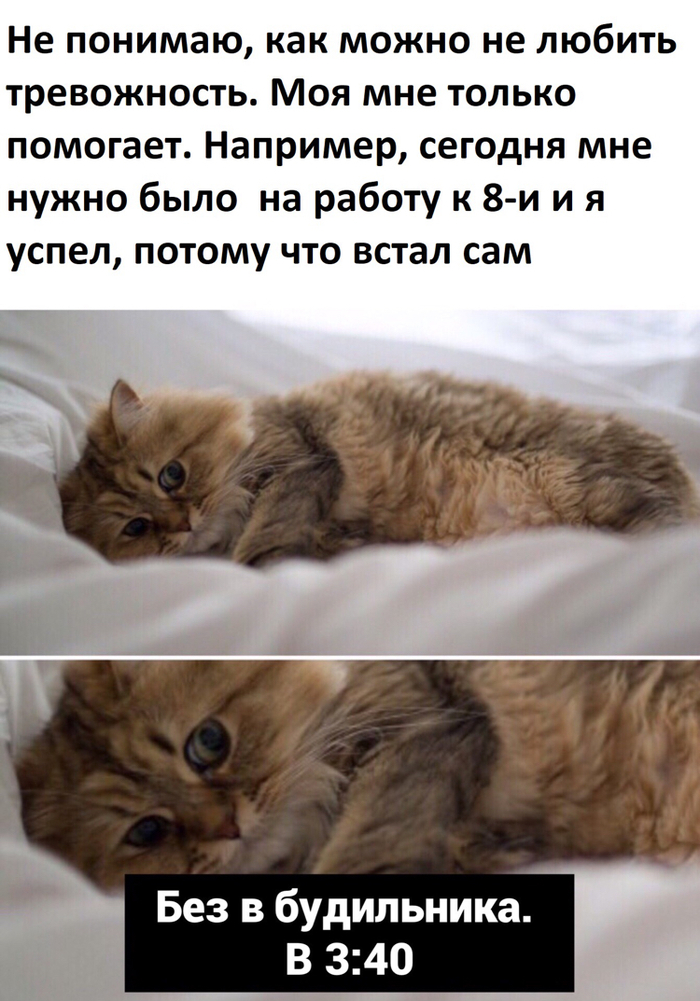 ������ �������