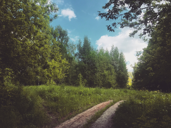 ��������� �������