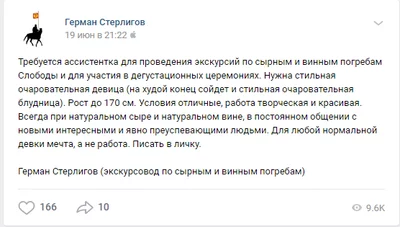 Ответ на пост «Так меня ещё никто не называл...» - Моё, Герман Стерлигов, Скриншот, ВКонтакте, Переписка, Вакансии, Собеседование, Работа, Ответ на пост, Длиннопост, Хамство