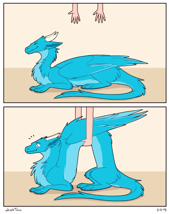 If pets weren't cats, but dragons - The Dragon, Draktau, Comics