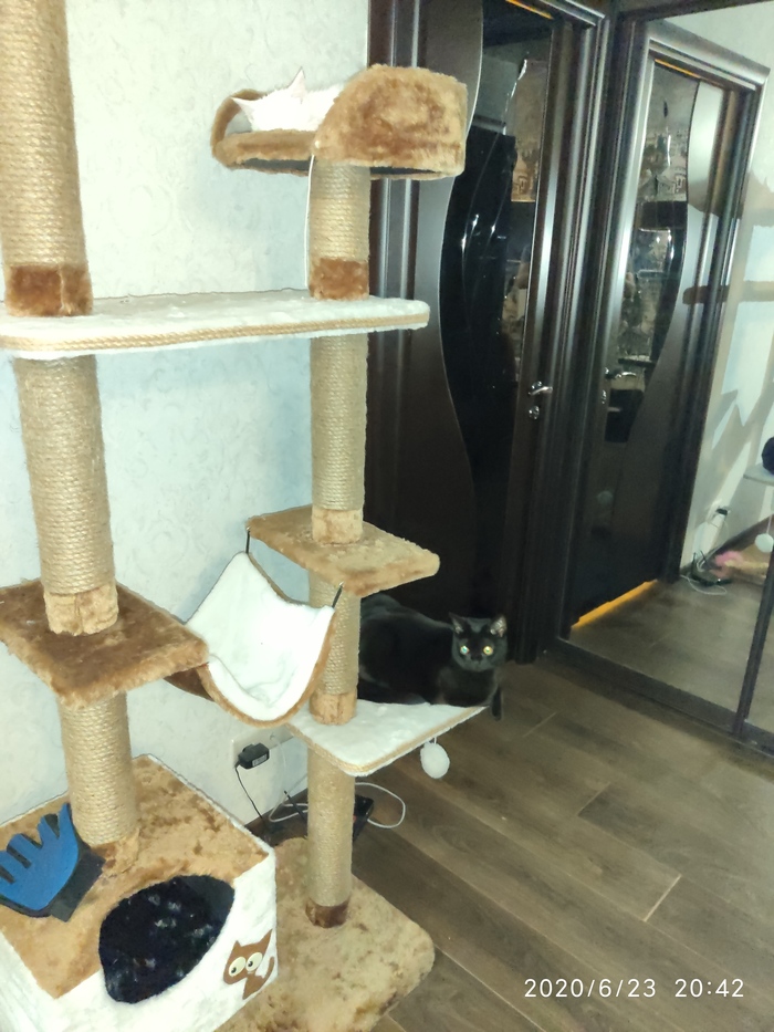 Подружились 2