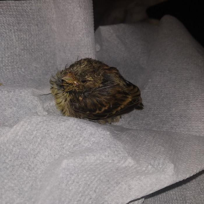 ������ � �������