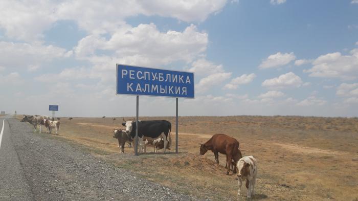 Сельскохозяйственное заболевание - Моё, Сельское хозяйство, Мысли, Странный юмор, Профессиональный юмор, Длиннопост