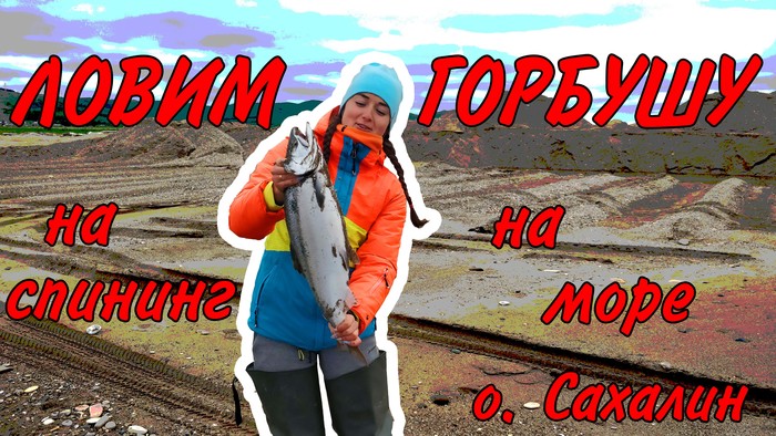 Ловля морской горбуши на побережье Сахалина. Отличный клёв Соломка и Юкола из горбуши