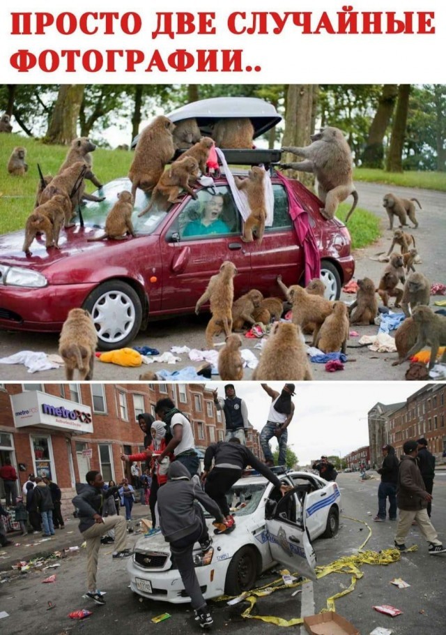 Вообще ничего общего