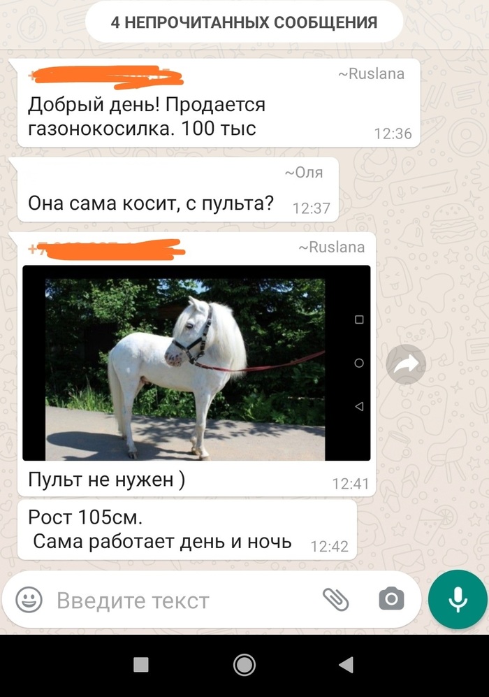 Местное Авито