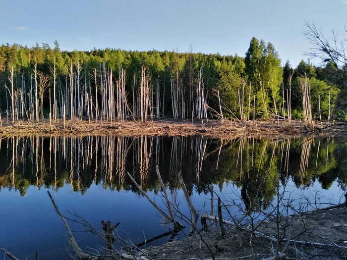 Kialim - My, Karabash, Fishing, Longpost