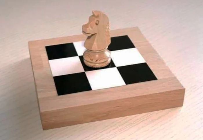 What does hopelessness look like? - Strange humor, Chess, Knight's move, The photo