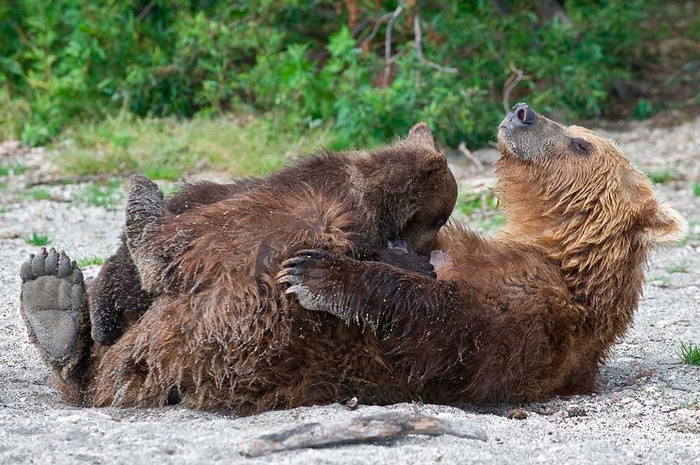 Им хорошо вдвоем!...