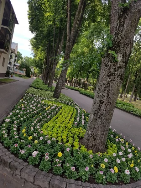 Карго культ у аборигенов - Моё, Юмор, Благоустройство, Казахстан, Павлодар, Длиннопост