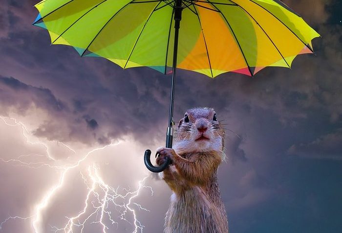 “The temperature of lightning is 30,000 degrees, which is 5 times higher than on the surface of the sun.” - Thunderstorm, Umbrella, Longpost