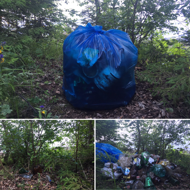 Kostroma Eco-Putin opposed the amendments and liquidated the landfill - My, Garbage, Scavenger Kostroma, Tag for beauty, Amendments, Ecology, Kostroma, Longpost