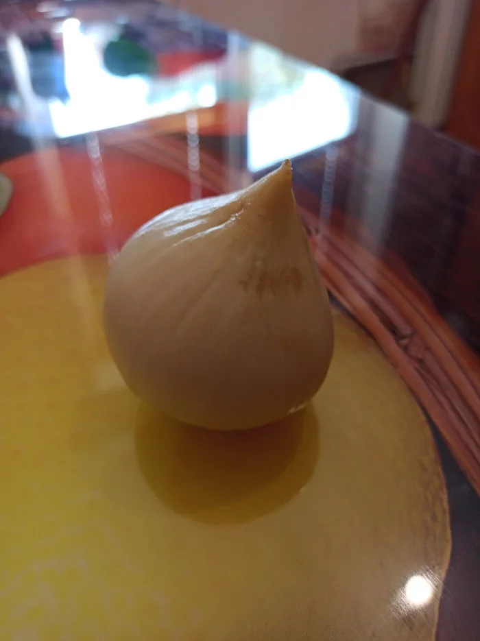 Garlic clove* (rocambole) - My, Garlic, Giants, Fancy food, Onion, Rocambole, Longpost