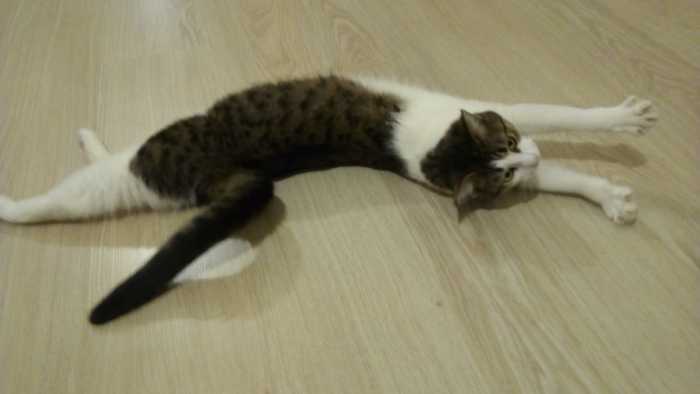      ,  , ,  , , 