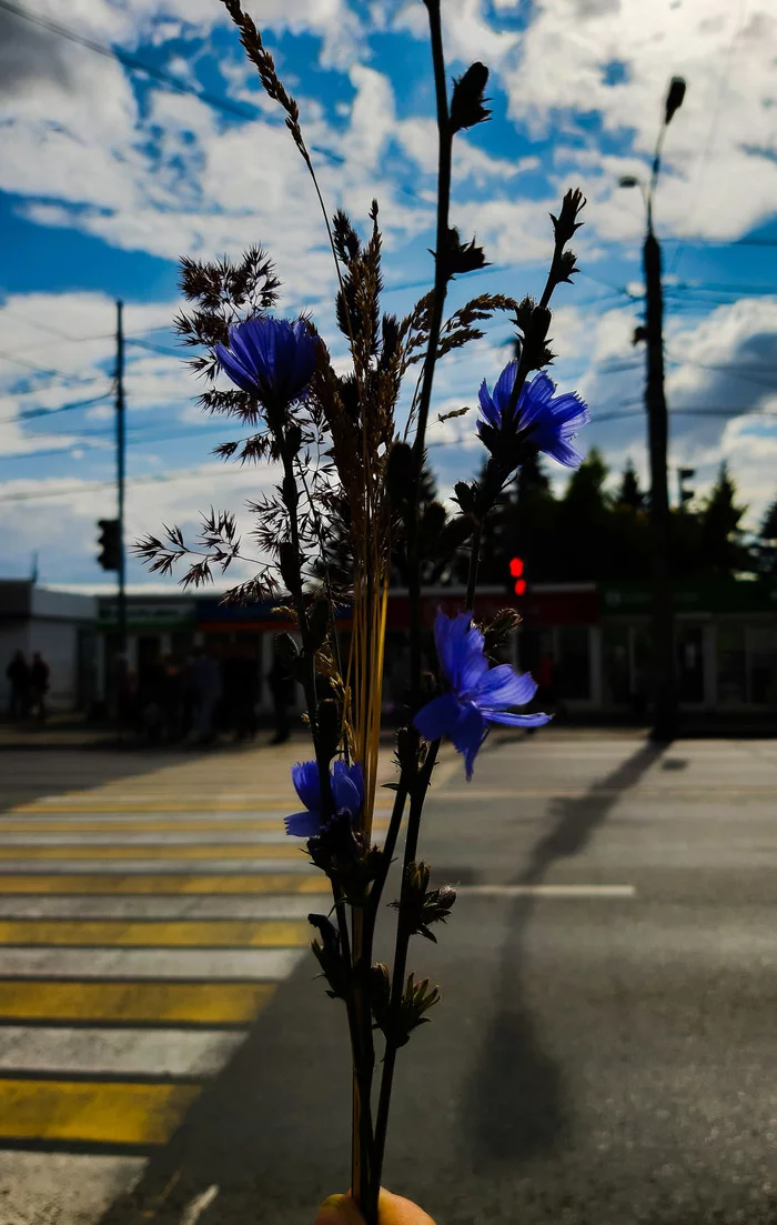 Букетик... - Моё, Курган, Красота, Мобильная фотография, Прогулка