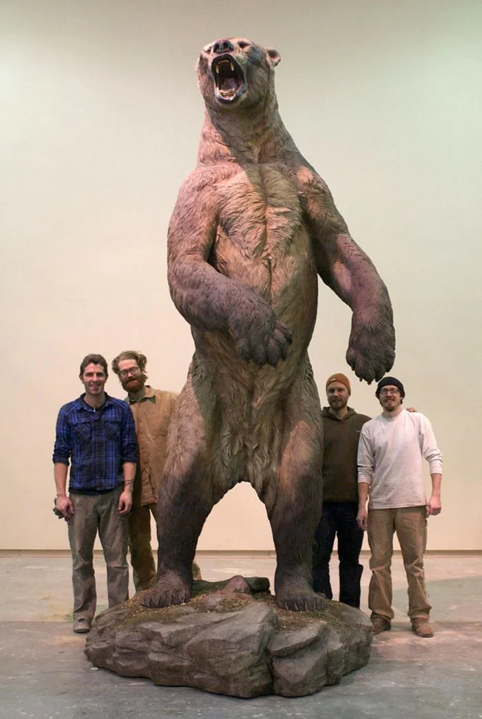 What a life-size giant short-faced bear looked like (according to scientists) - The Bears, Museum, Chicago, Giants, Paleontology, Longpost