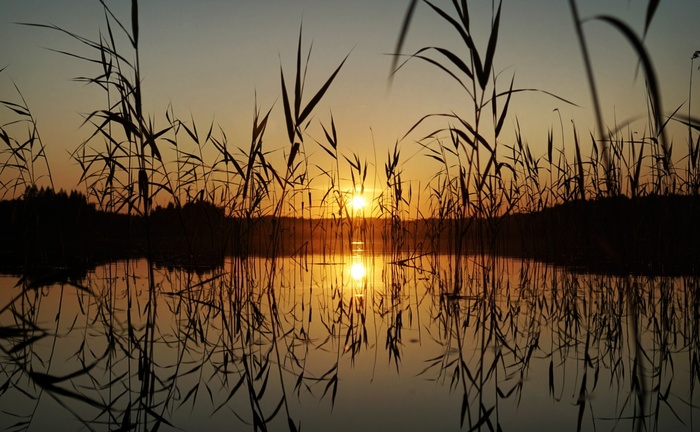 �����, ����� ������������, �������