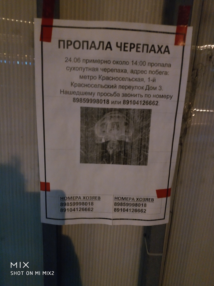 Стремительный побег