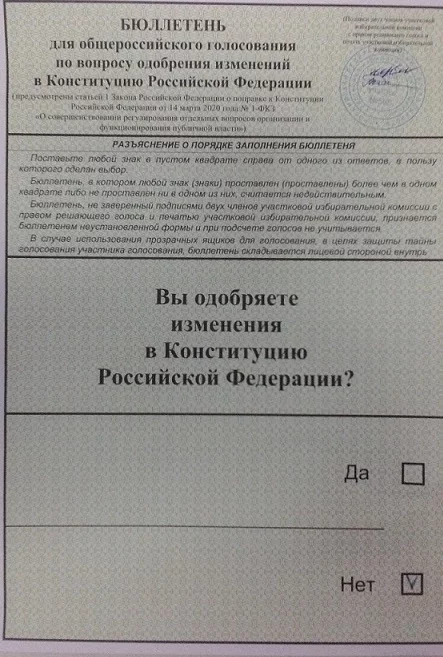 Я художник, я так вижу - Моё, Политика, Поправки, Конституция, Голосование, Бюллетень