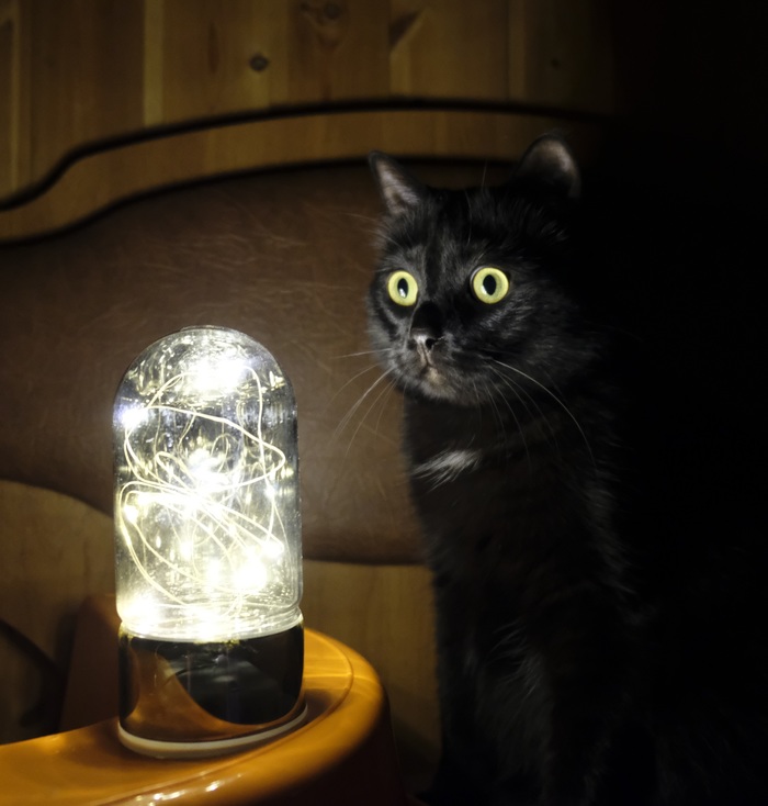 ��������� ���������