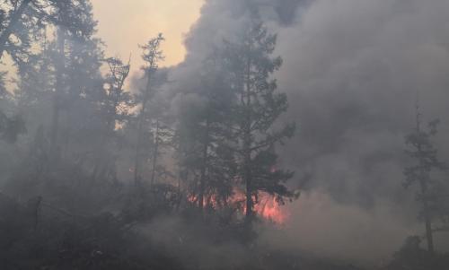 �� �������� ����������� ������� ����� 50 ��������� ���������������� � �������� ������������