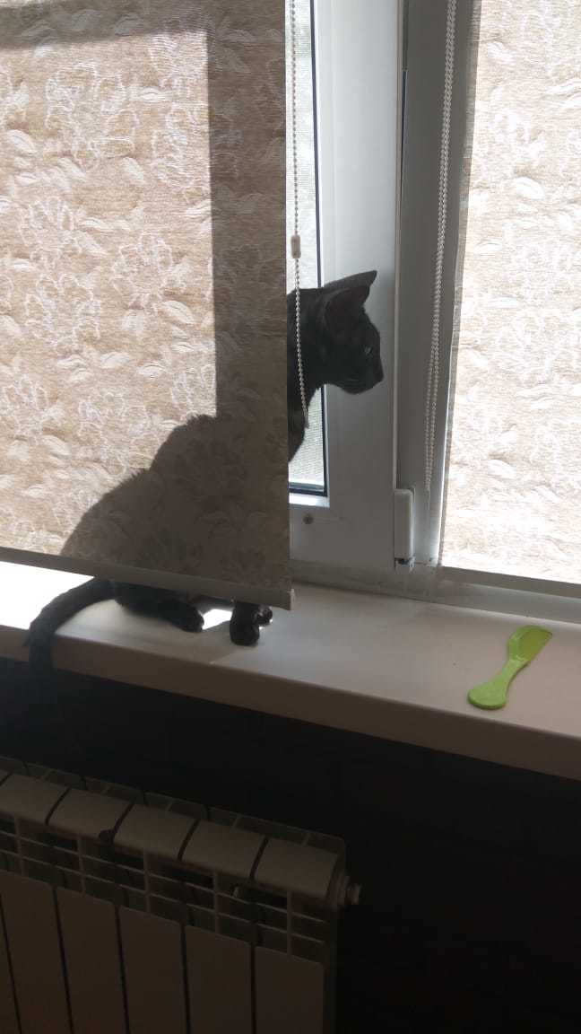 ��� �� �����?