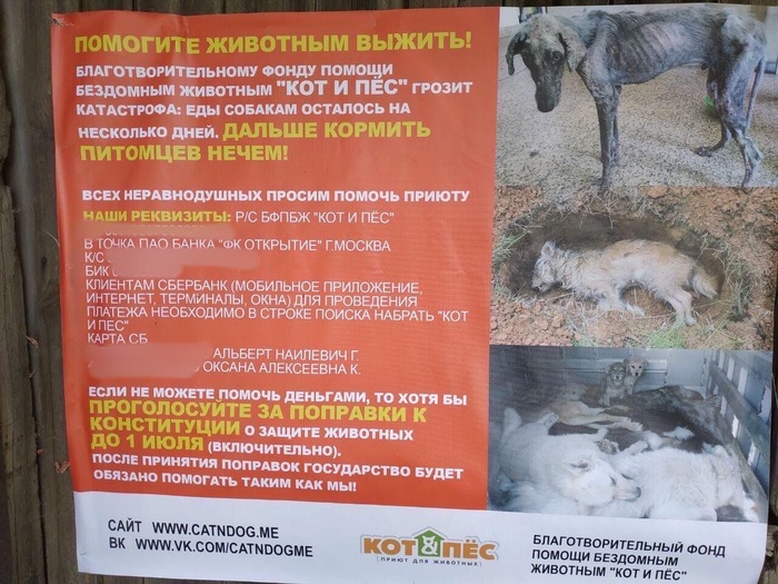 В Казани приют открестился от "благотворительной" акции на примере поправок к Конституции