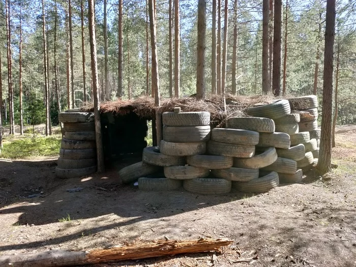 Let's do an off-road bike ride. June 2020 - My, A bike, Sertolovo, Pokatushki, Dirt, Video, Longpost