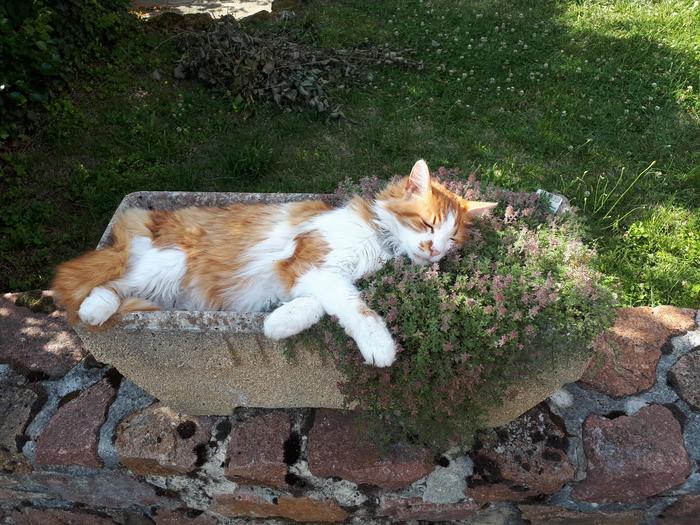 "� ���� �� ������, ������ �� ����� ������ ������ �� ����� �������� ������"