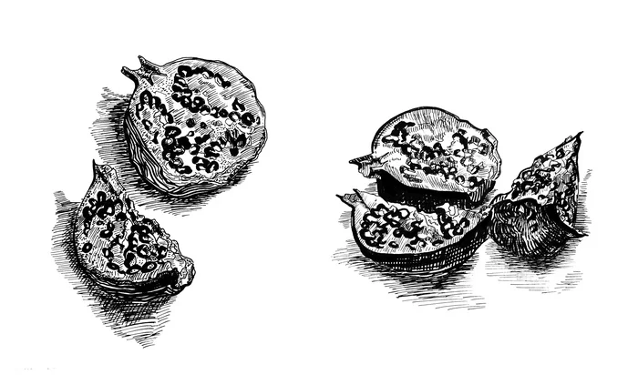 Grenades from nature with markers - My, Graphics, Drawing, Grenades, Sketchbook, Traditional art, Фрукты, Garnet