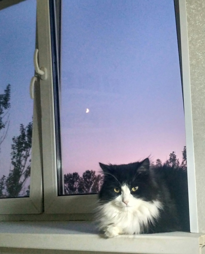 ��� ���?