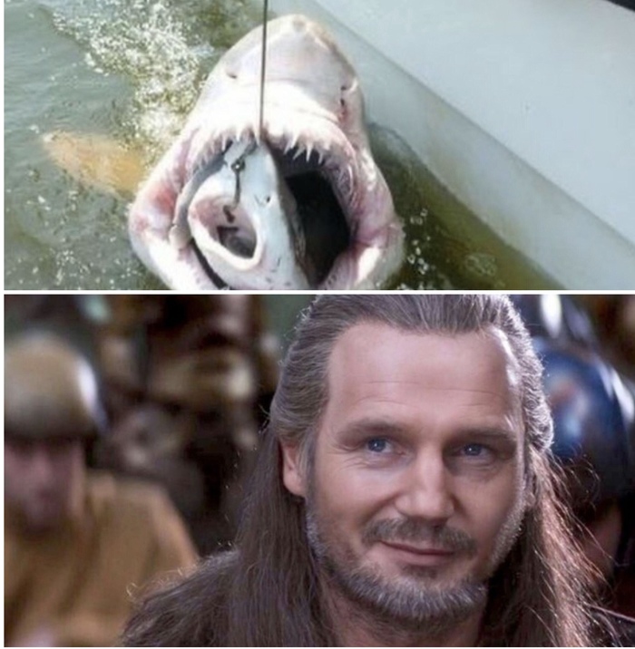 ������ ������� ���� ���������