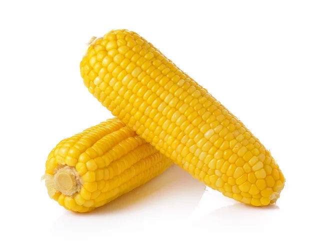 Corn - Corn, The photo, Cop, Longpost