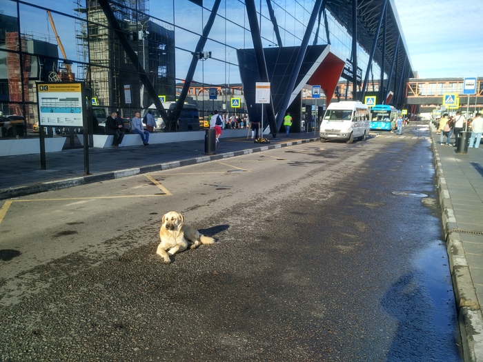 � ����� ���� ��� �������