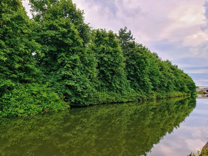 Bridgewater Canal, Manchester, UK - My, Manchester, England, Landscape, Town, Longpost