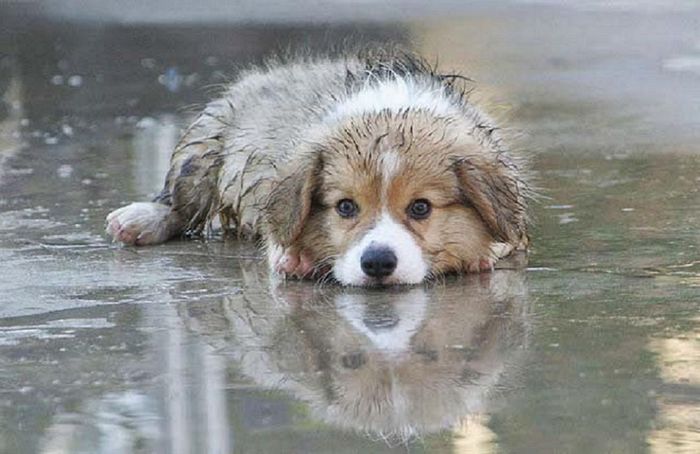 ���������� ������