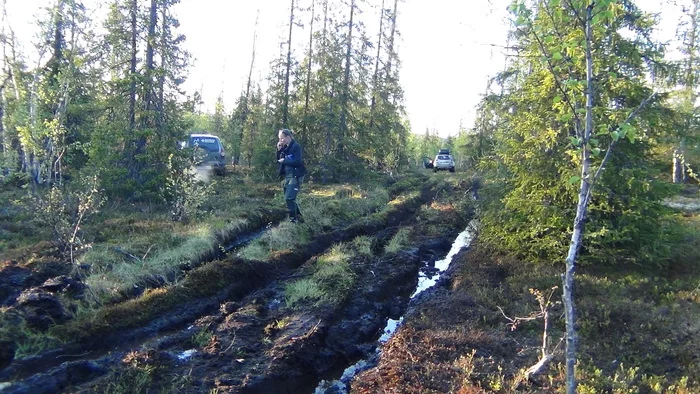 An epic route to an unnamed lake! Part 1. We spend the night in the forest. UAZ, Niva, Duster and L200, 4x4, Offroad - My, Renault Duster, UAZ, Niva, Murmansk, Adventures, Nature, 4x4, Offroad, Video, Longpost