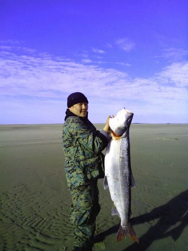 Fishing in Yakutia - My, Fishing, Nelma, Pike, Longpost