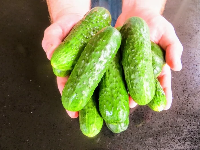 Men make better cucumbers for the winter - My, Cooking, Blanks, Pickling, Recipe, Food, Snack, Other cuisine, Video, Longpost, Video recipe