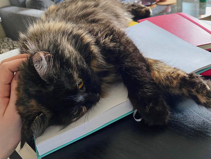 ���������� ����� �� ������� !