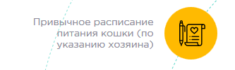 Отзыв о гостинице для кошек Сэр кот, Москва - Моё, Кот, Передержка, Услуги, Отзыв, Длиннопост