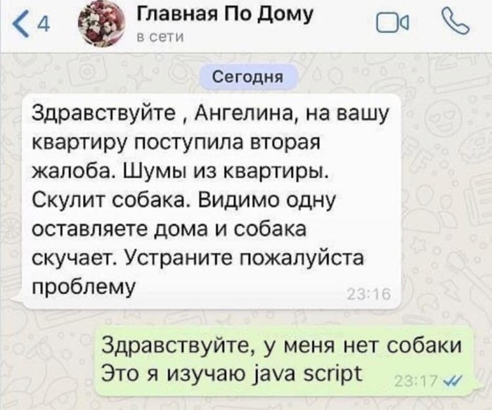 ��� ����������� Java Script ��������������...