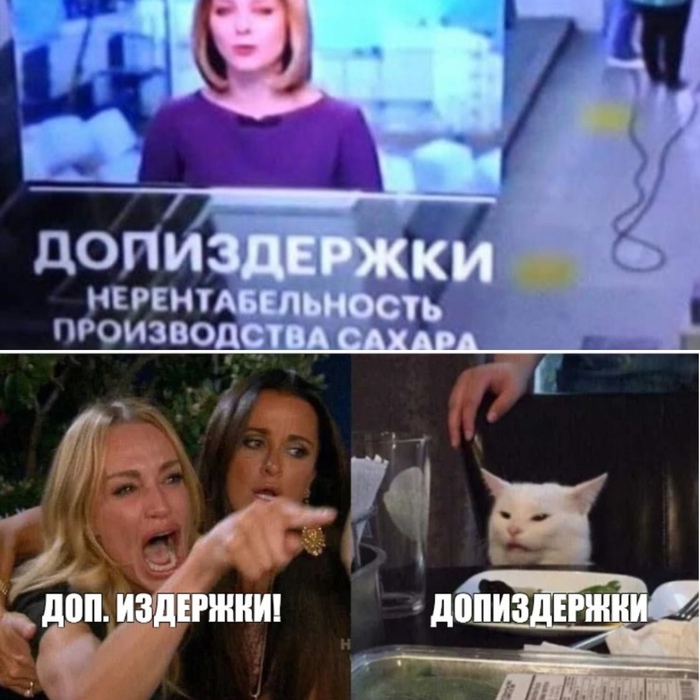 ���.��������