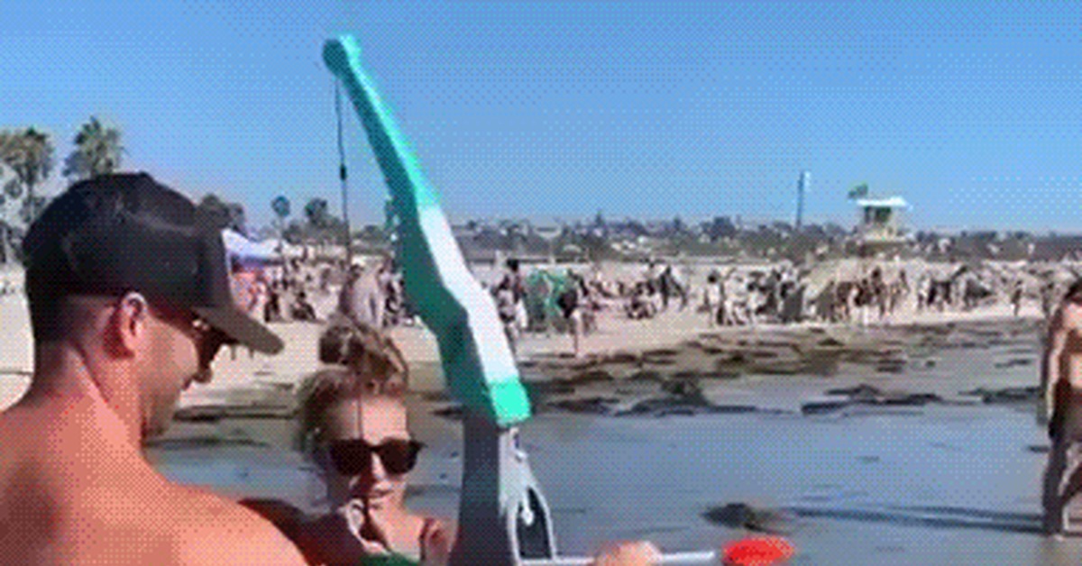 He was never seen again - Dog, Onion, Pets, Arrow, Fail, GIF, Girls, Sea