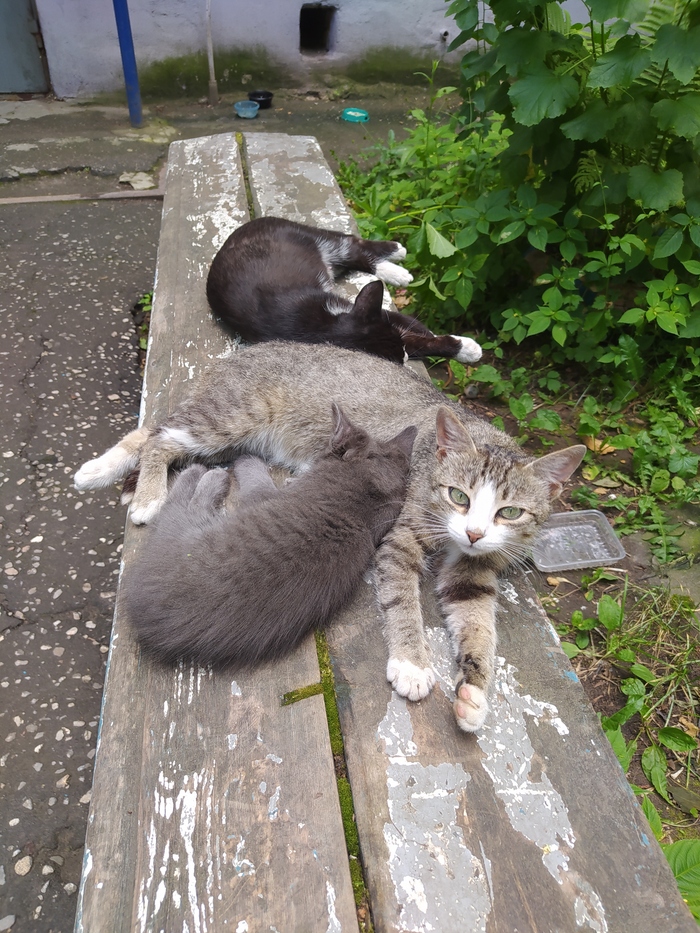 Если мужчине немного за 40